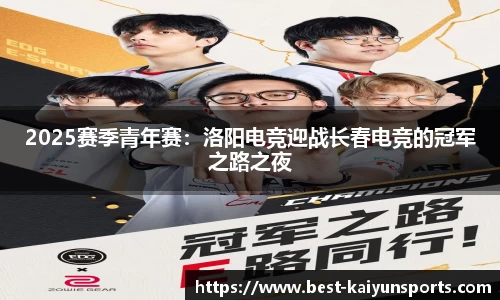 开云官方网站